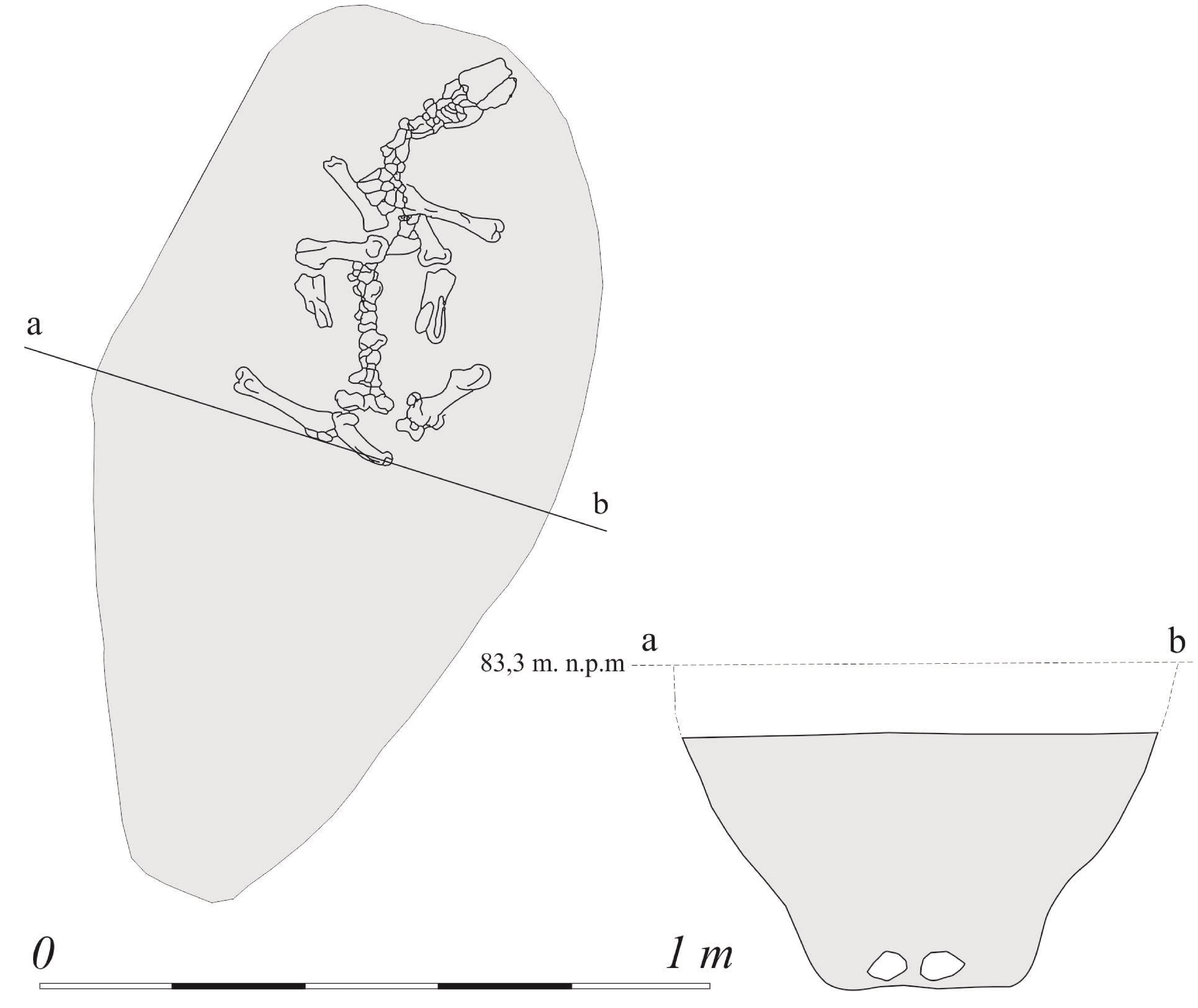 Fig_13_ KA_3_Dobry_ryc47.jpg