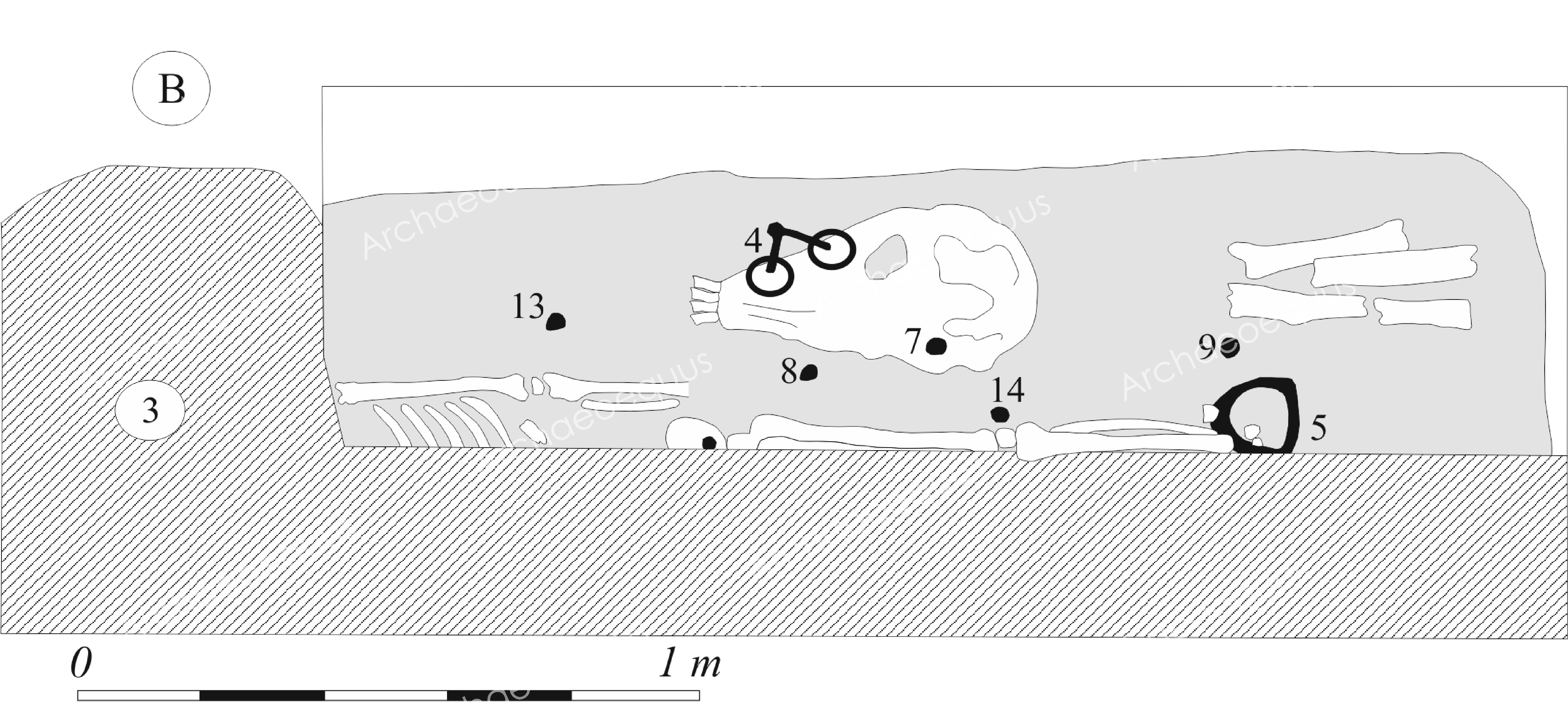 Fig_21_Przemysl_grob 1.jpg